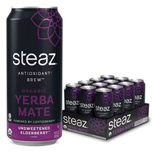 steaz antioxidant brew organic yerba mate tea 16 oz. pack of 12 (unsweetened elderberry)