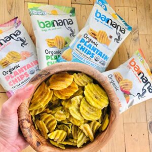 Barnana Organic Plantain Chips - Variety Pack - 5 Ounce, 4 Pack Plantains - Barnana Salty, Crunchy, Thick Sliced Snack - Best Chip For Your Everyday Life - Cooked in Premium Coconut Oil