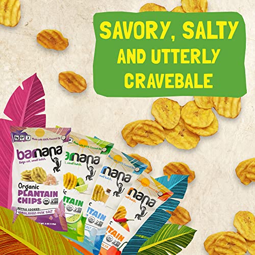 Barnana Organic Plantain Chips - Variety Pack - 5 Ounce, 4 Pack Plantains - Barnana Salty, Crunchy, Thick Sliced Snack - Best Chip For Your Everyday Life - Cooked in Premium Coconut Oil