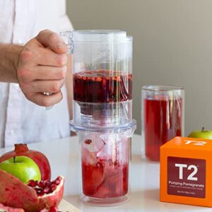 T2 Tea Pumping Pomegranate 3.5 Oz Loose Leaf Fruit Tea In Limited Edition Tin, 3.5 Oz (T130AI082)