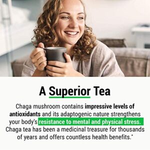 Sayan Siberian Chaga Mushroom Tea Organic Antioxidant Caffeine Free, Raw and Extract Blend, Unbleached 20 Bag, Wild Harvested for Focus Concentration Energy Boost and Immune Support, Detox