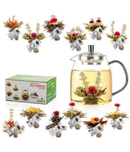 tealyra - 12 pcs blooming tea and 30.5-ounce glass teapot set - 12 variety flavors of finest flowering teas - all tea balls individually sealed - great gift bloom teas box