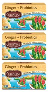 celestial seasonings herbal tea, ginger plus probiotics, 20 count (pack of 3)