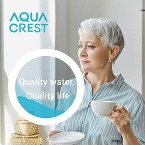 AQUACREST TÜV SÜD Certified Coffee-Machine Water Filter Replacement for Krups F088 Filter, XP5220, XP5240, EA82 and EA9000-Including Various Models of AEG®, Bosch®, Siemens®, Gaggenau® (Pack of 2)