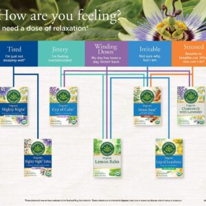 Traditional Medicinals Tea Cinnamon Stress Ease Organic, 16 Count