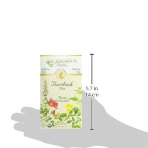 Celebration Herbals Organic Burdock Root Tea Caffeine Free - 48 Teabags in Total