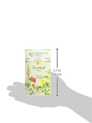 Celebration Herbals Organic Burdock Root Tea Caffeine Free - 48 Teabags in Total