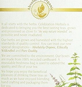 Celebration Herbals Organic Burdock Root Tea Caffeine Free - 48 Teabags in Total