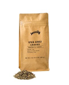 jovvily uva ursi leaves - 8oz - dried whole leaves - bearberry leaves - herbal tea