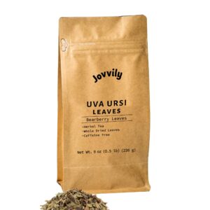 Jovvily Uva Ursi Leaves - 8oz - Dried Whole Leaves - Bearberry Leaves - Herbal Tea