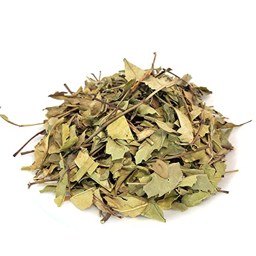 Yerbero - Tronadora (Yellow Elder) Herbal Tea 3.5 oz (100gr). Stand Alone Reasealable Bag. Keep Fresh Tea.