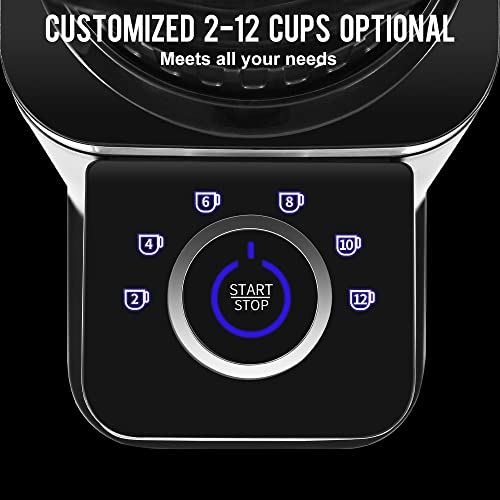 ACKZOT Coffee Grinder, Anti-Static Conical Burr Coffee Bean Grinder with 48 Precise Grind Settings for Espresso/Drip/Pour Over/French Press, 2-12 Cups, Uniform Grinding for Full Coffee Flavor