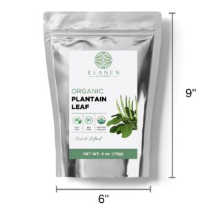 Organic Plantain Leaf 4 oz. (113g), USDA Certified Organic Dried Broadleaf Plantain Leaf Tea, Organic Plantain Herb, Dried Plaintain Herb, Cut & Sifted