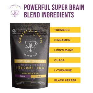 Grateful Earth Super Brain Blend Instant Gourmet Espresso Black Coffee with Nootropics 20 Packets Microground Robusta and Arabica Coffee with Turmeric, Cinnamon, Black Pepper