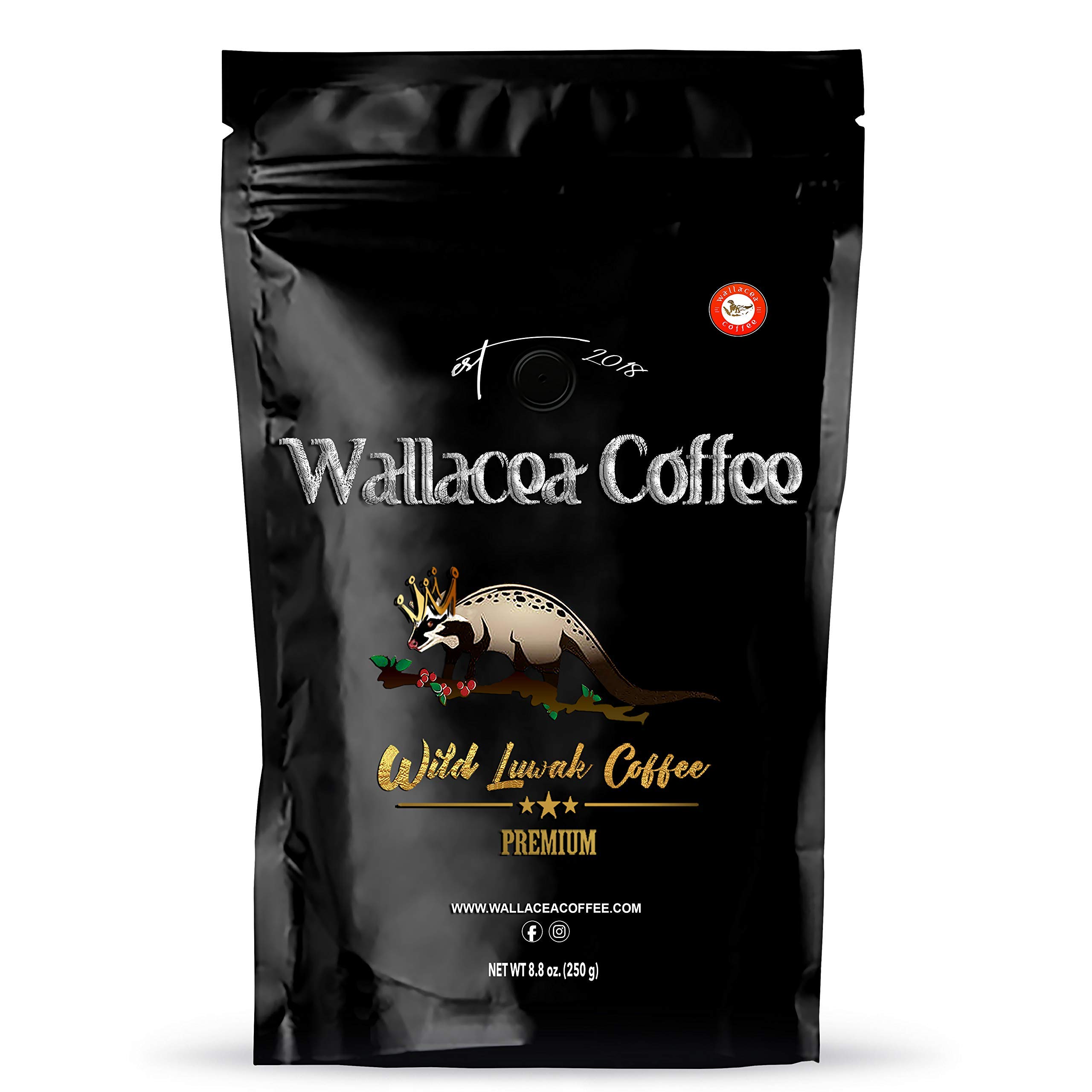 Wallacea Coffee Certified Wild Kopi Luwak Coffee Beans, Civet Coffee, Kopi Luwak From Gayo Sumatra Indonesia, coffee beans (8.8 oz)