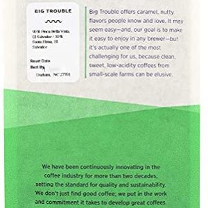 Counter Culture Coffee Big Trouble - Medium Roast, Sustainably Sourced, Kosher, Whole Bean Coffee - Nutty, Caramel, and Chocolate Flavors - 12oz (2 Bags)