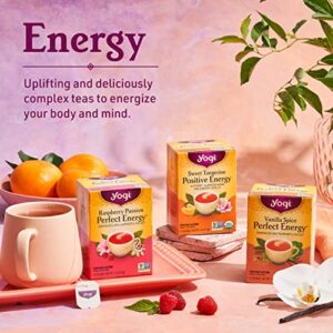 Yogi Tea Peach Bergamot Bright Day Tea - 16 Tea Bags per Pack (4 Packs) - Organic Tea to Support Energy & Positivity - Includes Oolong Tea Leaf, White Hibiscus Flower, Rose Hips & More