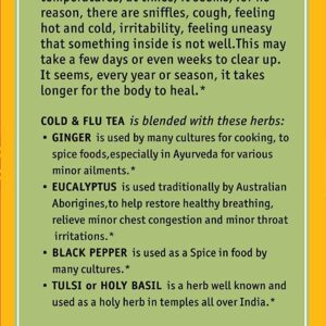 Herbal Cup Ayurveda Cold & Flu Tea, Organic Health & Wellness, No Caffeine Herbal Teas (16 Count, Pack of 1)