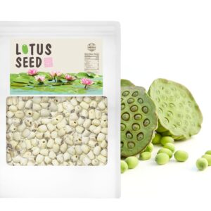 Farmer Queen Dried Lotus Seeds 8 Ounce for Tea & Baking Rich In Methionine Good for Gut health and Diet