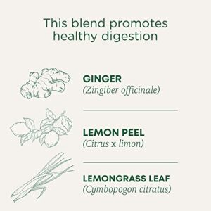 Traditional Medicinals Tea, Organic Lemon Ginger, Promotes Healthy Digestion, 16 Tea Bags