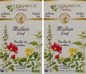 celebration herbals organic mullein leaf tea caffeine free - 2 pack (48 bags in total)