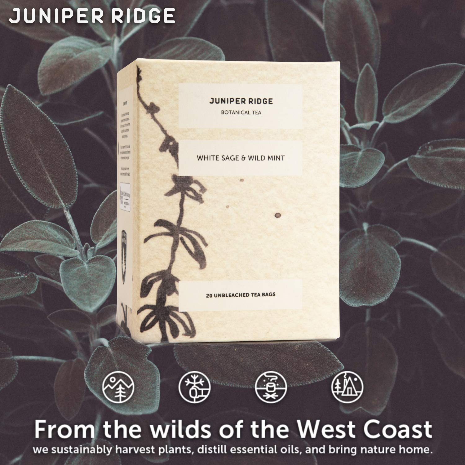 Juniper Ridge White Sage & Wild Mint Botanical Tea - Earthy, Herbal, & Bright Mint Notes - Vegan, Caffeine Free & Gluten Free - 20 Unbleached Teabags