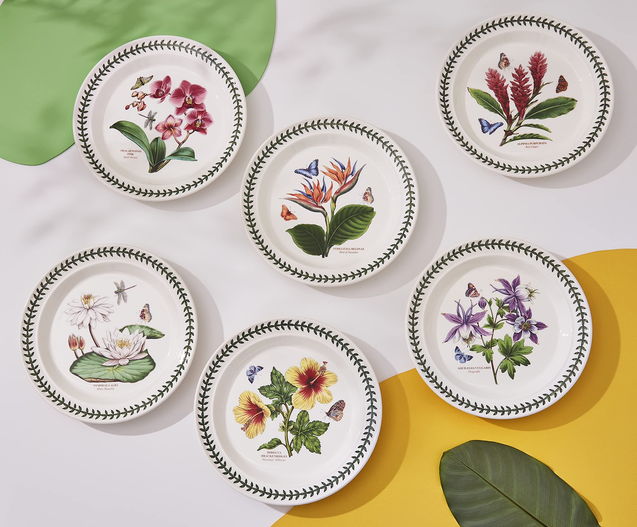 Portmeirion Exotic Botanic Garden Dinner Plate with Assorted Motifs, Round, Ceramic, Dishwasher, Microwave, & Oven Safe, 10.5 Inch, Made in England - Set of 6