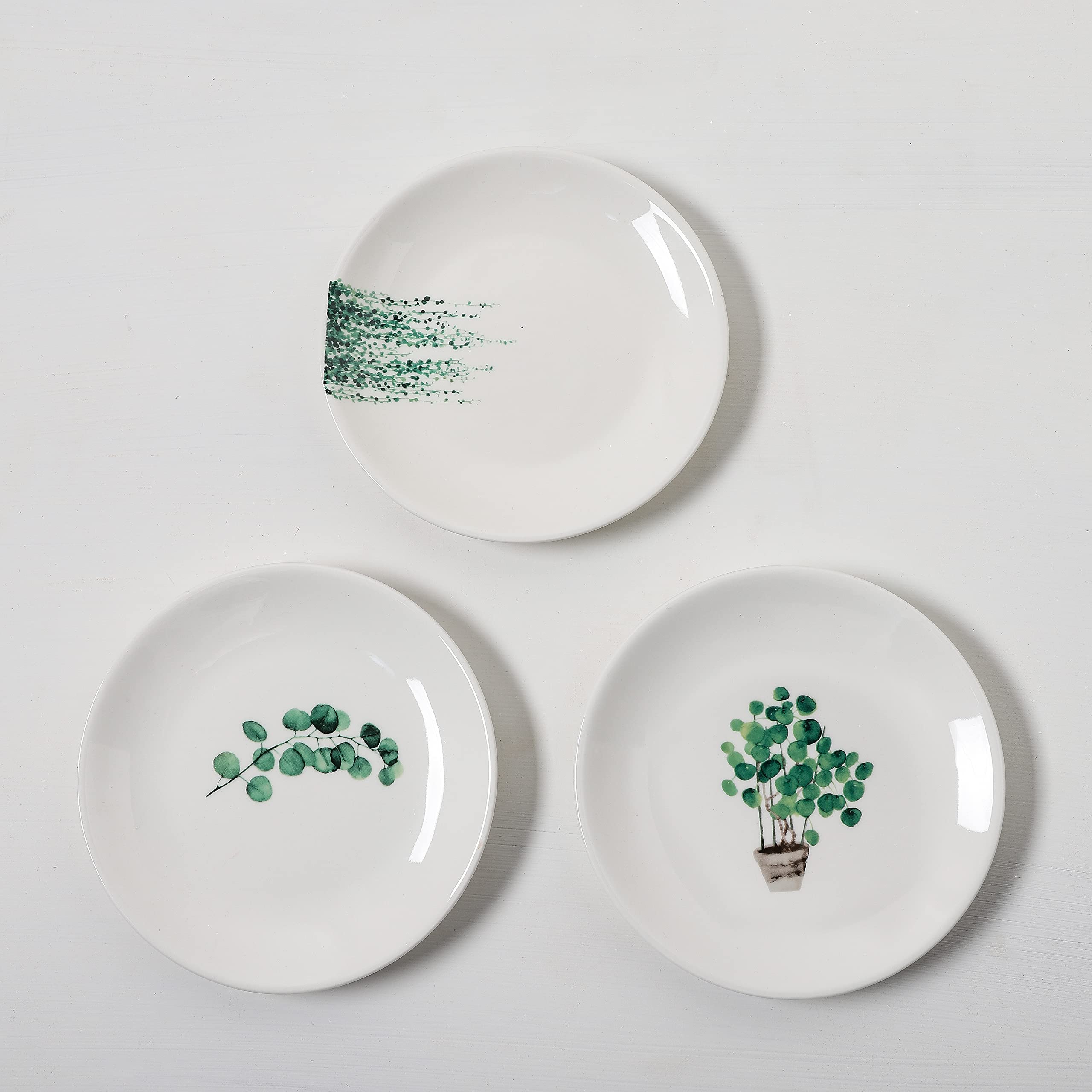 YCBH 6 Inch Set of 6 Assorted Designs, Small Porcelain Plates with Plants Pattern,White Ceramic Dinnerware for Appetizer Luncheon Snacks Dessert Serving Bread, Microwave Oven Dishwasher Safe