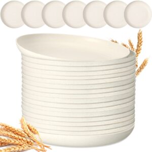 zopeal 15 pcs 10 inch wheat straw plates lightweight unbreakable deep dinner plates reusable plastic plates microwave safe dinnerware for kids children toddler adult (beige)