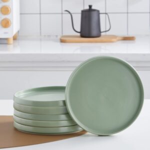 stone lain stella salad plate 6-piece set, round, porcelain, honeydew