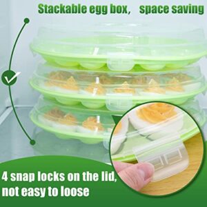 HANSGO 3PCS Deviled Egg Platter and Carrier With Lid - 66 Egg Slots for Parties and Home Kitchen