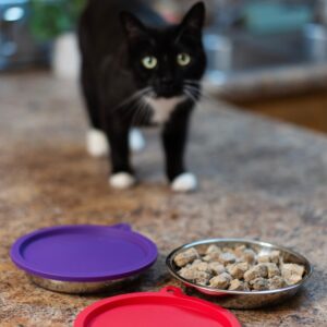 Messy Cats 4pc Set with Two Stainless Saucer Shaped Bowls and Two Silicone Lids, 1.75 Cups Per Bowl, Watermelon and Purple Lids