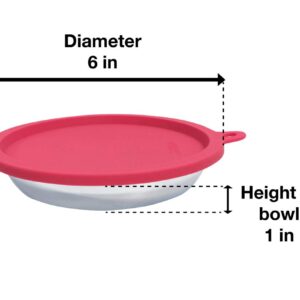 Messy Cats 4pc Set with Two Stainless Saucer Shaped Bowls and Two Silicone Lids, 1.75 Cups Per Bowl, Watermelon and Purple Lids