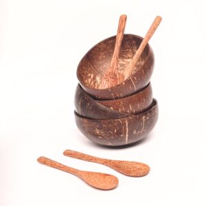 natural craft coconut bowls and spoons set (set of 2)