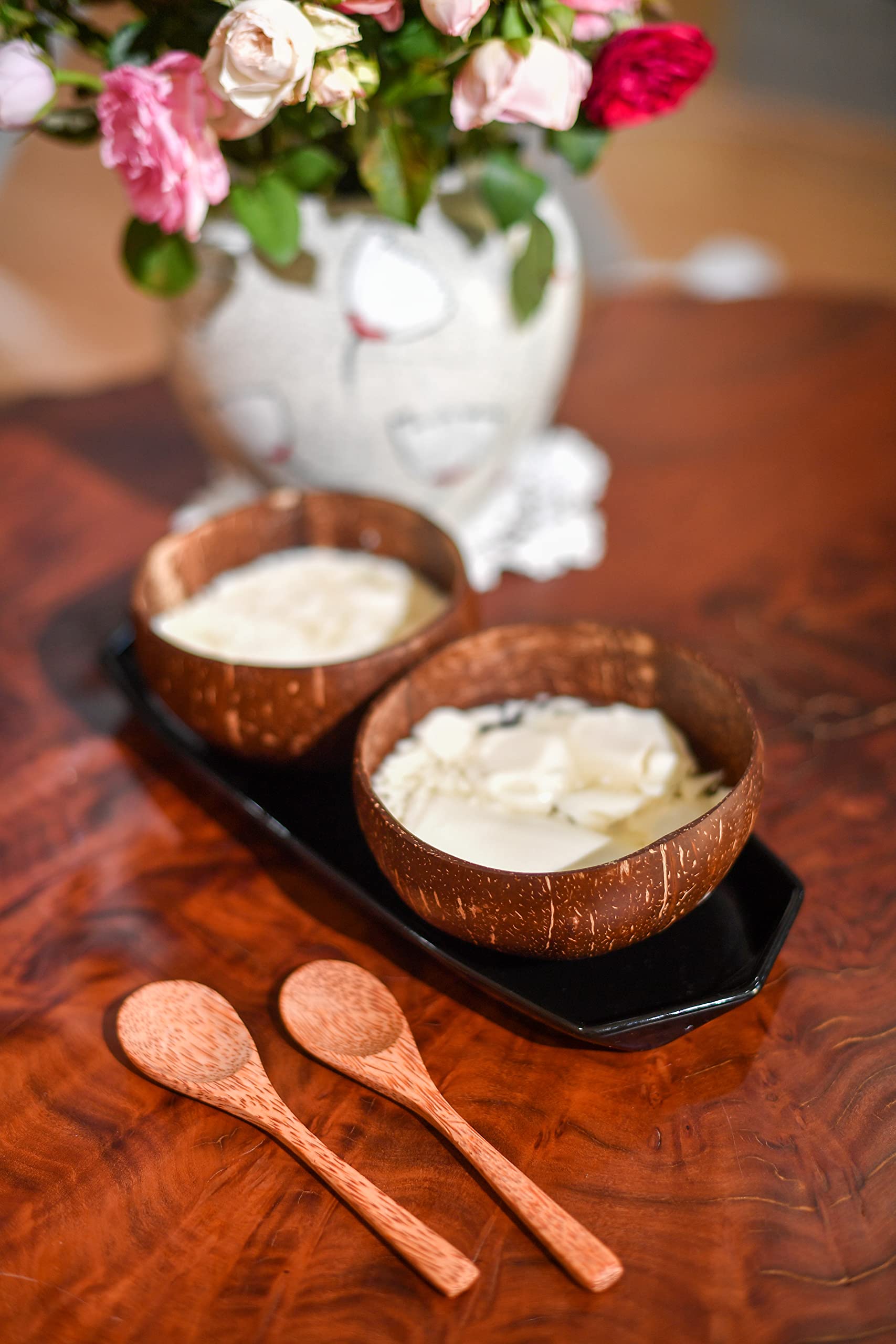 Natural Craft Coconut Bowls and Spoons set (Set of 2)