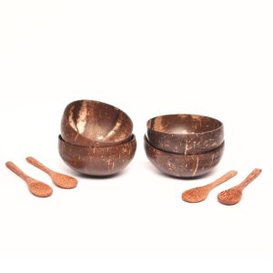 Natural Craft Coconut Bowls and Spoons set (Set of 2)