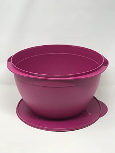 BOWL 42 cup - Maxi Salad SALMON COLOR with same color Seal