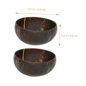 Holibanna 2 Pcs Coconut Shell Rice Bowl Pasta Containers Rice Bowls Japanese Ornament Container Ramen Bowls Ice Cream Bowl Wooden Storage Bowl Coconuts Snack Bowl Salad Storage Bowl Salad