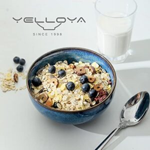 YELLOYA Ceramic Cereal Bowls, 26 oz Soup Bowl Set of 4, 6 inch Porcelain Serving Bowls for Kitchen Dessert Snack Rice, Ceylon Blue