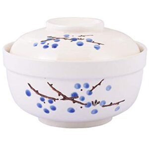 whitenesser ramen bowl with lid, japanese style 27.5 oz big ceramic bowl with lid and for soup rice noodle and porridge, microwave oven safety (blue flower)