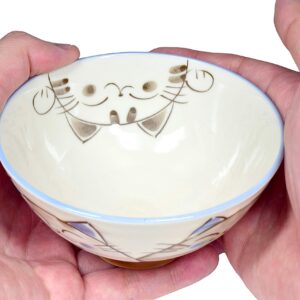 Japanese Handcrafted Rice Bowl, Authentic Mino Ware Pottery, Calico Cat Motif Design, MIKE Blue Chawan, set of 2