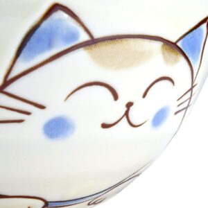 Japanese Handcrafted Rice Bowl, Authentic Mino Ware Pottery, Calico Cat Motif Design, MIKE Blue Chawan, set of 2