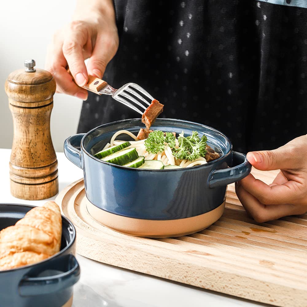 HVH Soup Bowls With Handles Microwave Safe, Ceramic Soup Bowl Set of 4, 24 Oz Big Soup Bowl for Soup, Cereal, Chill, Beef Stew, French Onion Soup Bowls Farmhouse Style (Blue)