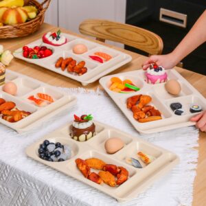 Bokon 24 Pcs Divided Plate for Kid Adult Wheat Straw Lunch cutlery Set Toddler Dinnerware Microwave Safe Picnic School(Beige)