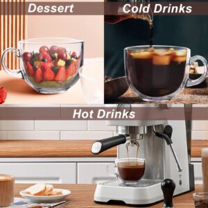 3 Pcs Glass Cereal Bowl Clear Soup Pasta Noodles Salad Bowl with Handle Breakfast Milk Cups Nut Oatmeal Tempered Glass Microwave Safe Liquid Bowl for Snack Ice Cream Coffee,470ML