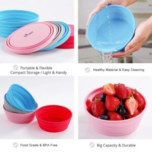 Ecoart Silicone Expandable Collapsible Bowl for Travel Camping Hiking (Red(L))