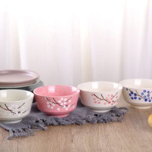 VanEnjoy Set of 4 Japanese Style Ceramic Rice Bowl,4 Assorted Color Cherry Blossoms Among Snow Flake Pattern Bowls Set