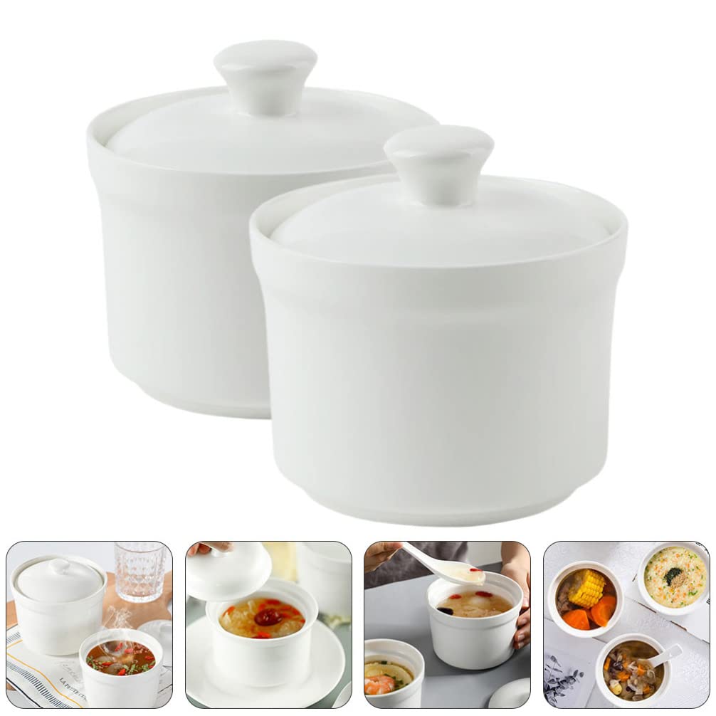 Hemoton 2pcs Ceramic Stew Pot with Lid Small Steam Soup Bowl Steaming Cup Japanese Serving Dish Seasoning Jar Sugar Pot for Egg Custard Medicinal Birds Nest Appetizer