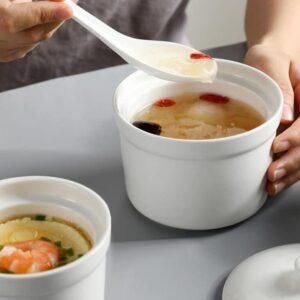 Hemoton 2pcs Ceramic Stew Pot with Lid Small Steam Soup Bowl Steaming Cup Japanese Serving Dish Seasoning Jar Sugar Pot for Egg Custard Medicinal Birds Nest Appetizer