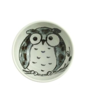 Japanese Rice Bowl, Rice Ramen Noodle Soup Sarada Pasta:Owl Good Luck Blue #140-972